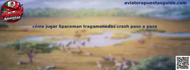 Guía para aprender cómo jugar Spaceman tragamonedas crash paso a paso