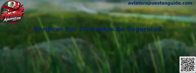 Guía para verificar los elementos de seguridad de una plataforma de Aviator Apuestas
