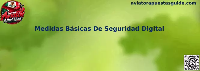 Medidas Básicas De Seguridad Digital