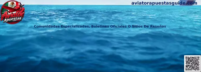 Comunidades especializadas y sitios de reseñas de Aviator Apuestas