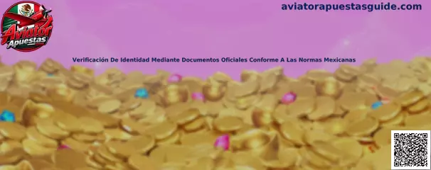 Verificación de identidad mediante documentos oficiales conforme a las normas mexicanas