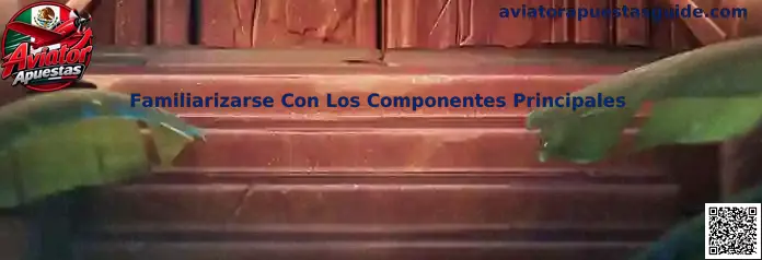 Familiarizarse Con Los Componentes Principales en Aviator Apuestas