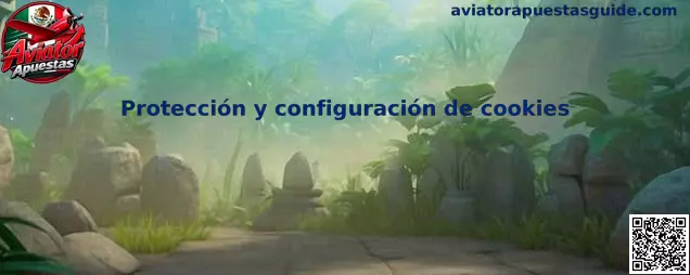 Protección y configuración de cookies de Aviator Apuestas